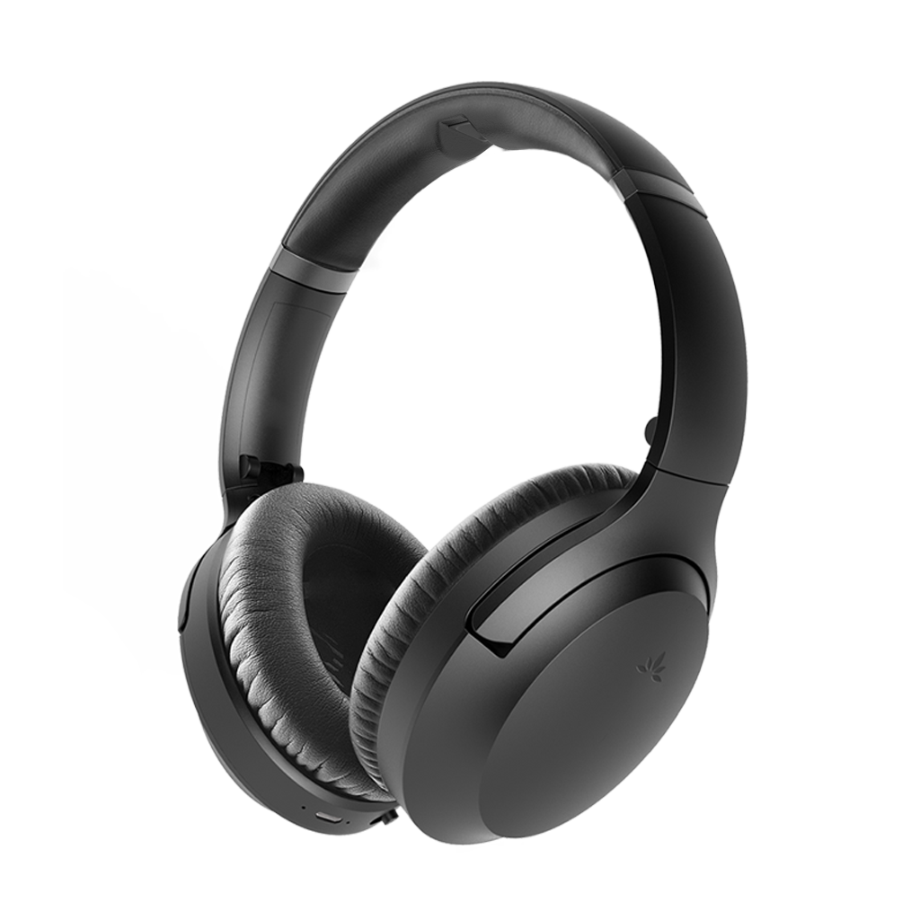V-G900 Headphones