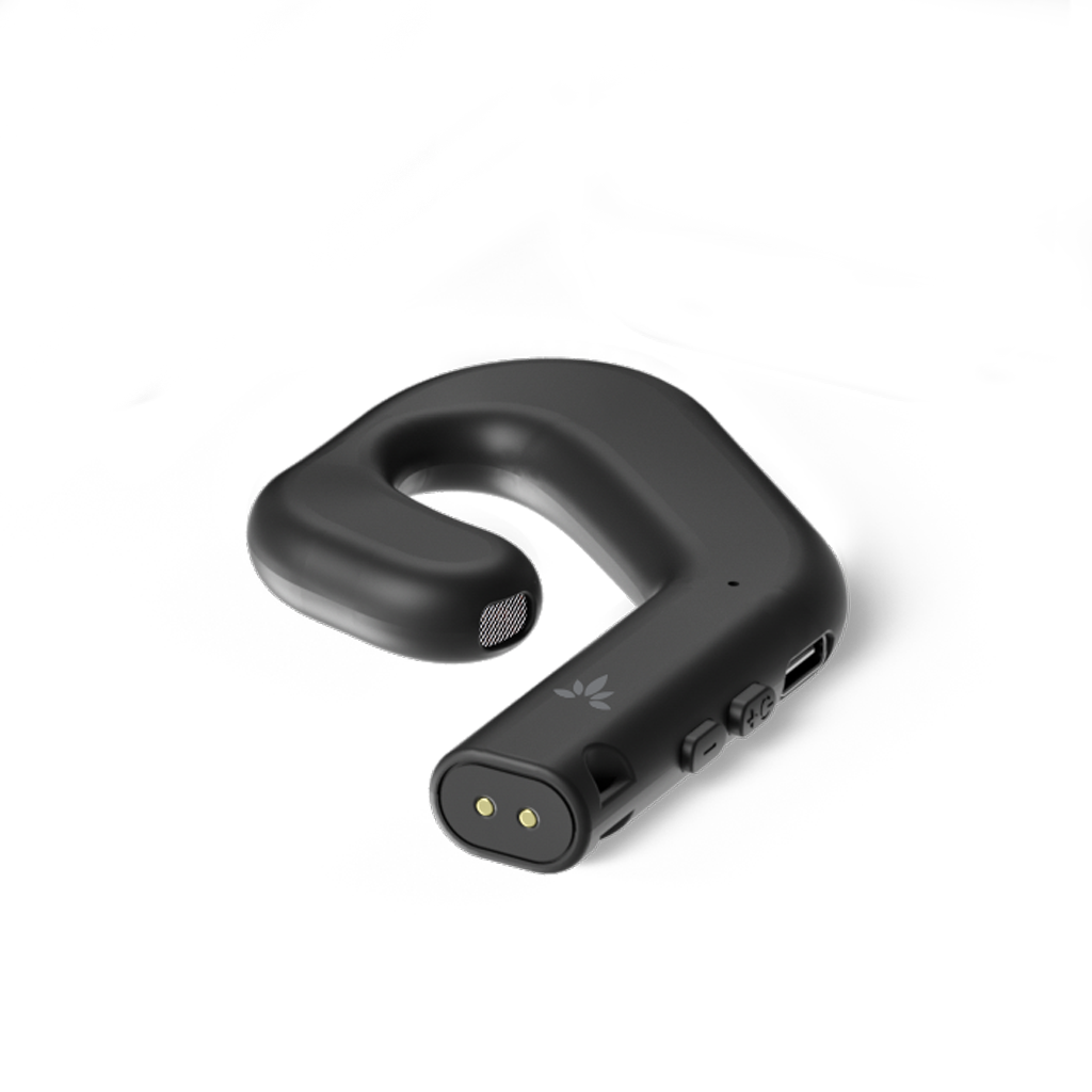 Wireless Receiver Earphones for AudiTour
