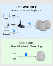 Harmony A0 speakers used together with the Oasis Aura transmitter or individually with Bluetooth.