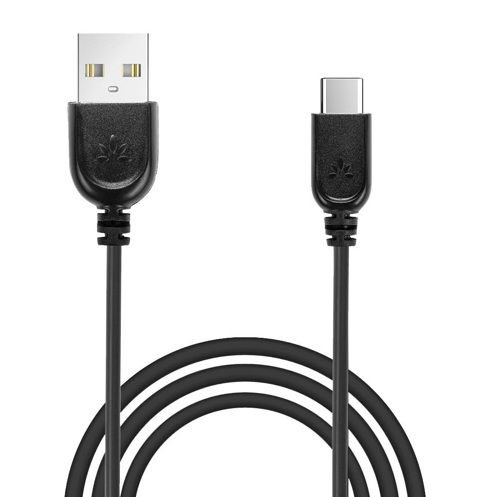 Type C Charging cable (Rental)